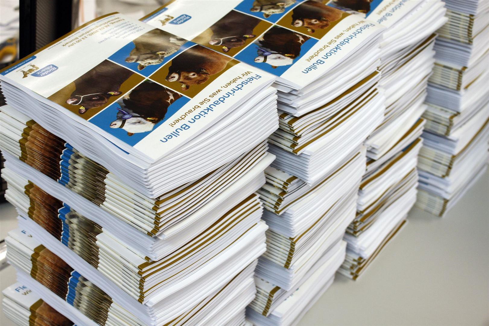 Broschüren Magazine druckerei werbeagentur stendal